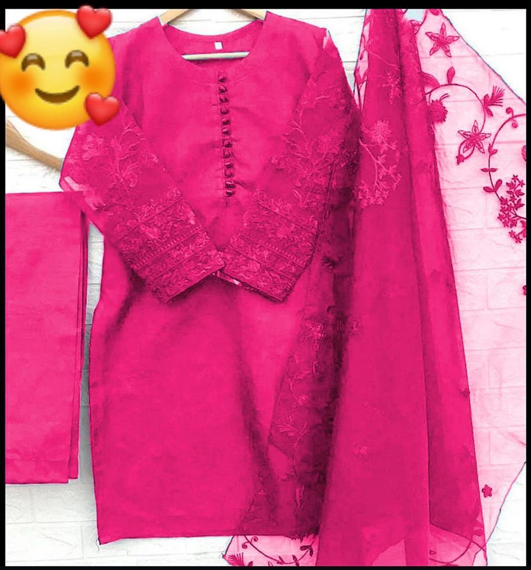 3 Pcs Women's Stitched Organza Embroidered Suit.